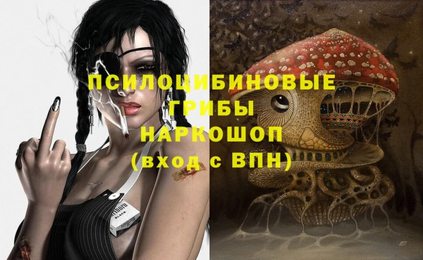 гидропоника Горно-Алтайск