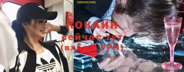 дурь Горняк