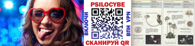 Купить где  Краснотурьинск  Псилоцибиновые грибы GOLDEN TEACHER 