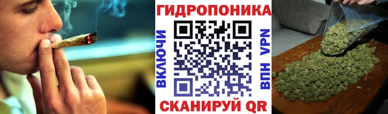 Конопля Bruce Banner  Купить  Краснотурьинск 